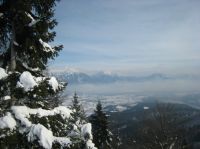 Klik za večjo sliko