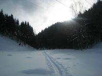 Klik za večjo sliko