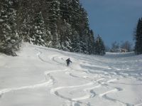 Klik za večjo sliko