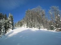 Klik za večjo sliko