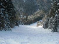 Klik za večjo sliko