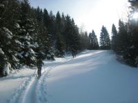 Klik za večjo sliko