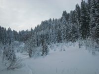 Klik za večjo sliko