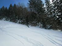 Klik za večjo sliko