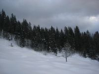 Klik za večjo sliko