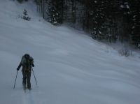 Klik za večjo sliko