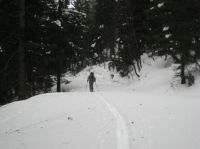 Klik za večjo sliko