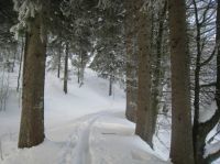 Klik za večjo sliko