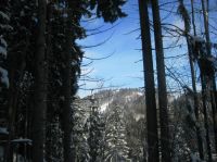 Klik za večjo sliko