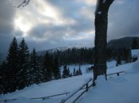 Klik za večjo sliko