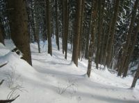 Klik za večjo sliko