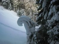 Klik za večjo sliko