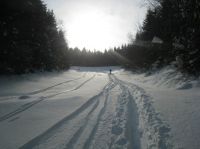 Klik za večjo sliko