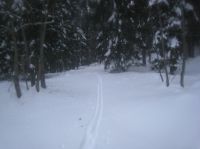 Klik za večjo sliko