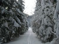 Klik za večjo sliko