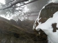 Klik za večjo sliko