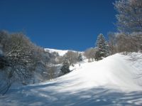 Klik za večjo sliko