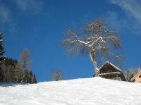 Klik za večjo sliko