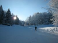 Klik za večjo sliko