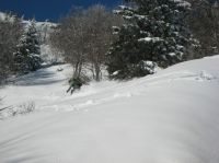 Klik za večjo sliko