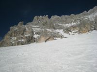 Klik za večjo sliko