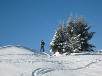 Klik za večjo sliko