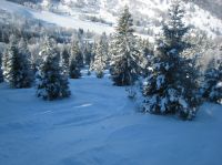 Klik za večjo sliko