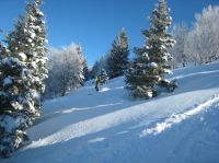 Klik za večjo sliko