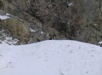 Klik za večjo sliko