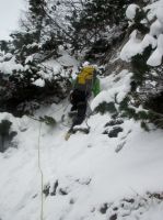 Klik za večjo sliko