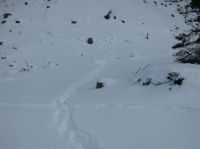 Klik za večjo sliko