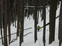 Klik za večjo sliko