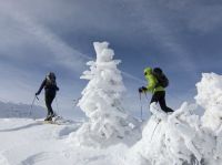 Klik za večjo sliko