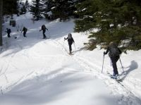 Klik za večjo sliko