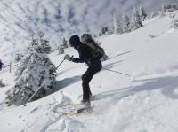 Klik za večjo sliko