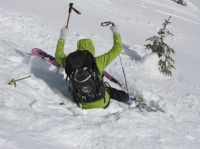 Klik za večjo sliko