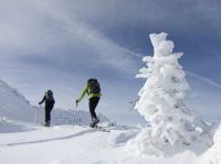 Klik za večjo sliko