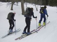 Klik za večjo sliko