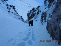 Klik za večjo sliko