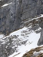 Klik za večjo sliko