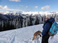 Klik za večjo sliko