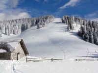 Klik za večjo sliko