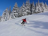 Klik za večjo sliko