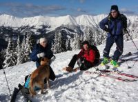 Klik za večjo sliko