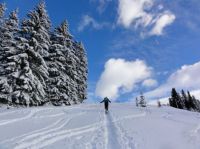 Klik za večjo sliko