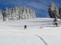 Klik za večjo sliko