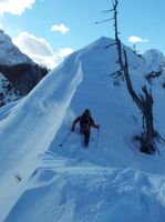 Klik za večjo sliko