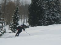 Klik za večjo sliko