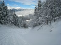 Klik za večjo sliko