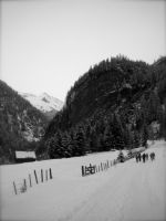 Klik za večjo sliko